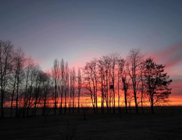 ambiance paisible au coucher du soleil au Domaine de Champouteau
