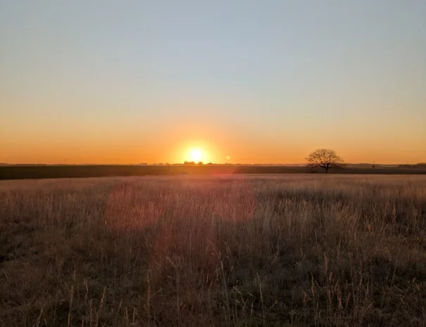 Domaine de Champouteau (1)