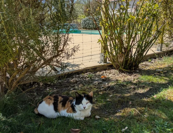 Domaine de Champouteau (13)