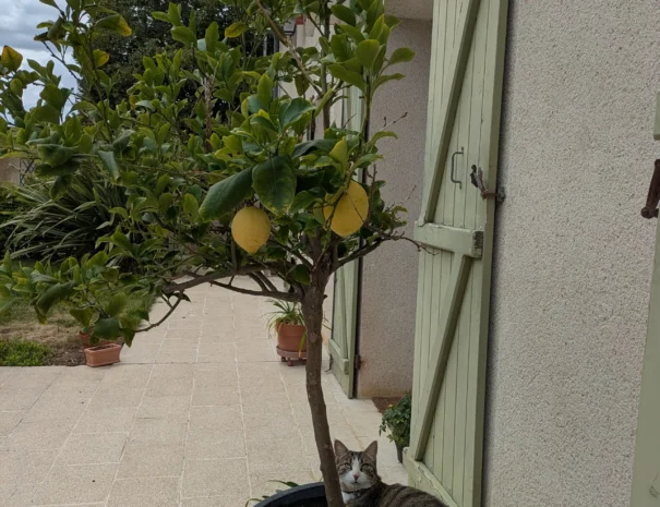 Domaine de Champouteau (20)