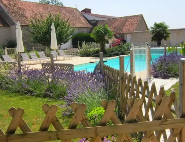 piscine familiale entourée de lavande au Domaine de Champouteau maison d’hôtes
