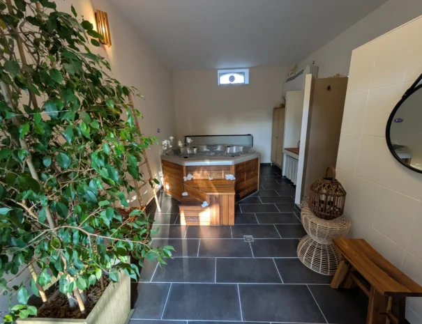 Domaine de Champouteau - Le SPA