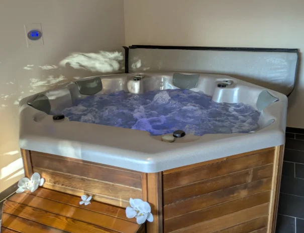 Domaine de Champouteau - SPA - (4)