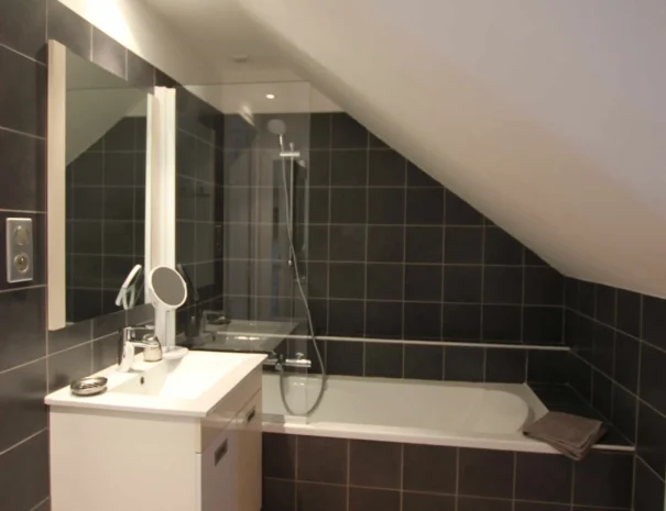 Gite Glycines - SdB 2