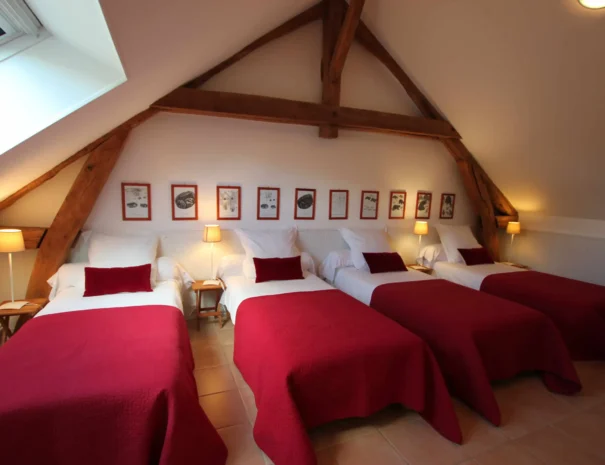 Gite Hortensias - Chambre 4